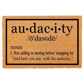 Heavy Duty Natural Coir Welcome Doormat for Front Porch Entryway, Non-Slip Durable Outdoor Mat with Funny Housewarming Gift Design